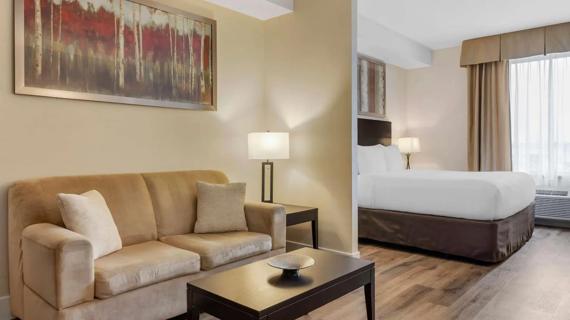 Comfort Hotel Bayer'S Lake Halifax