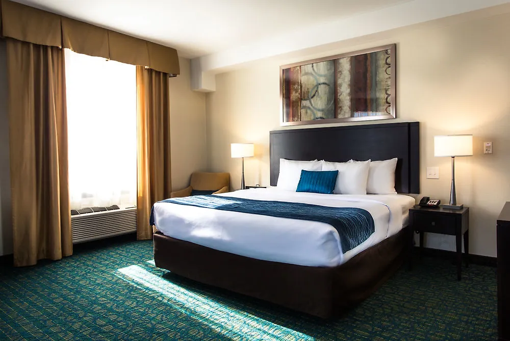 Comfort Hotel Bayer'S Lake Halifax